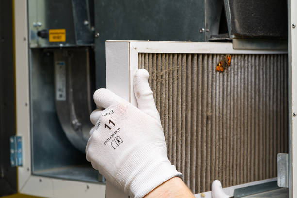 Best Affordable HVAC Duct Cleaning  in Rising Sun, MD